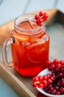 Red currant beverage — Stock Photo