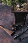 Bonsai herramientas de cuidado en la mesa de piedra - foto de stock