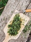 Board with chopped parsley — Stock Photo
