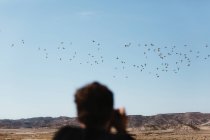 Visão traseira do homem tirando fotos de pássaros voadores no dia ensolarado no deserto . — Fotografia de Stock