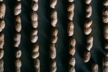 Vue du dessus des cacahuètes décortiquées en rangées — Photo de stock