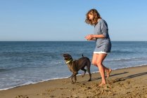 Взрослая женщина играет с собакой на пляже — стоковое фото