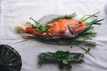 Natureza morta de peixe escorpião cru com alecrim e tomilho na toalha de mesa branca — Fotografia de Stock