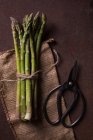 Vista dall'alto di un mazzo di asparagi verdi sul sacco con le forbici rurali accanto — Foto stock