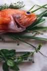 Ainda vida de peixe escorpião vermelho cru com alecrim e tomilho na toalha de mesa branca — Fotografia de Stock