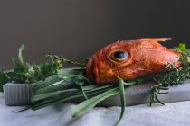 Still life of raw red scorpion fish with rosemary and thyme — Stock Photo