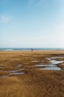 Uomo anonimo che cammina sulla spiaggia con pagaie su sabbia bagnata — Foto stock