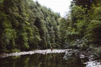 Vista distante dell'uomo in piedi sulla riva del fiume nella foresta — Foto stock
