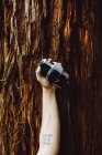 Erntehelfer stützen sich auf Baumstamm und halten Kamera — Stockfoto