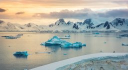 Foto panoramica del paesaggio dell'Antartide al tramonto — Foto stock