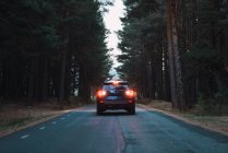 Вид ззаду на чорний автомобіль, що їде по дорозі в лісі . — стокове фото