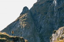 Rückansicht einer Frau mit Rucksack, die auf einer Klippe steht und die Aussicht auf die Berge genießt — Stockfoto