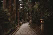 Walkway with small oriental lantern posts running down among trees on slope — Stock Photo