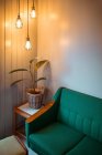 Canto da sala de estar com vaso planta iluminada por lanternas modernas — Fotografia de Stock