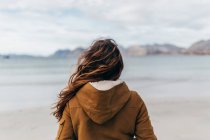 Rückansicht des Frauenmantels bewundernde Sicht auf den See — Stockfoto