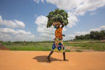 BENIN, AFRIQUE - 31 AOÛT 2017 : Vue de côté de la femme marchant sur la route et portant un panier avec de l'herbe sur la tête
. — Photo de stock