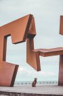 Chien labrador brun assis sous énorme installation d'art moderne sur fond de mer — Photo de stock