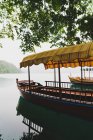 Side view of tourist boat with canopy moored under tree on lake shore — Stock Photo