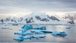 Vista para a paisagem da Antártida com icicles flutuando na baía — Fotografia de Stock