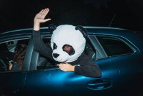 Man wearing panda mask leaning out of car window — Stock Photo