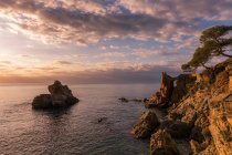 Paesaggio di scogliere sulla costa rocciosa — Foto stock