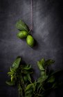 Arrangement des feuilles et des citrons verts sur fond sombre — Photo de stock