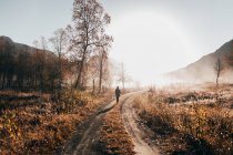 Visão traseira da mulher andando na estrada rural em bosques rurais — Fotografia de Stock
