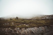 Paesaggio nebbioso di terreno roccioso con campo verde nella fitta nebbia . — Foto stock