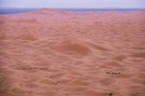 Blick auf leeren Wüstensand und trübe Sonne in der Dämmerung. — Stockfoto