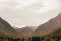 Мальовничий пейзаж туманних гір в похмурий осінній день — стокове фото