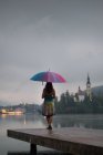 Вид ззаду жінки з барвистою парасолькою позує на пірсі в озері — стокове фото