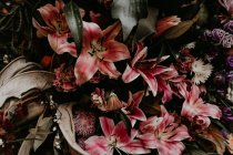 Vue rapprochée des fleurs roses tropicales — Photo de stock