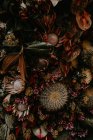 Vue rapprochée de la composition florale des fleurs et des cactus — Photo de stock