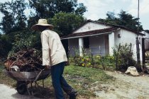 CUBA - 27 DE AGOSTO DE 2016: Vista trasera del jardinero empujando carretilla en el camino en el césped . - foto de stock