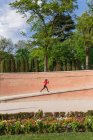 Вид збоку на спортивну дівчину, що біжить у міському парку — стокове фото