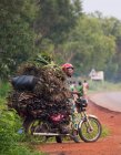 BENIN, AFRICA - AUGUST 31, 2017: Side view of man sitting on motorcycle with heaps of hay and twigs on tropical road background. — Stock Photo