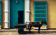 Vista laterale del cavallo imbrigliato in piccolo carro sullo sfondo dell'ingresso della villa . — Foto stock