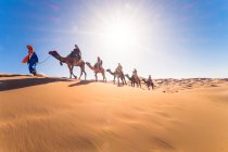 Высокоугольный вид на верблюжью верблюда, движущегося в пустыне — стоковое фото