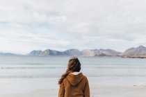 Vista trasera mujer posando en el lago de montaña - foto de stock
