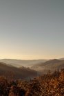 Paysage tranquille de la vallée brumeuse au jour sans nuages — Photo de stock