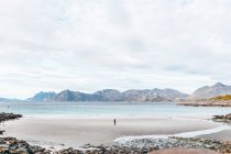 Віддалений вид ззаду людини, що стоїть на березі океану — стокове фото
