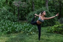 Спортивний дівчину концертах йоги Асани на газон парку — стокове фото