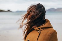 Porträt einer Frau mit Gesicht versteckt in brünetten Haaren im Wind — Stockfoto
