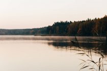 Landschaft des ruhigen nebligen Sees mit Bäumen am Ufer. — Stockfoto
