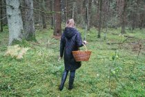 Вид ззаду жінки з кошиком, що збирає гриби в лісі — стокове фото