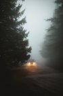 Car with lighting headlights driving through foggy road in forest. — Stock Photo