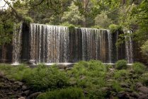 Перегляд потокового водоспаду в глибокому дощовому лісі — стокове фото