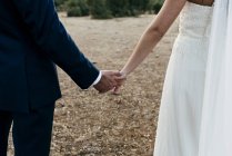 Crop bride and groom holding handsand walking on field — Stock Photo