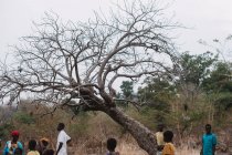 Niokolo Koba, Sénégal- 5 décembre 2017 : Groupe de personnes rassemblées sur la scène rurale — Photo de stock