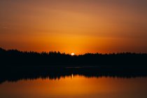 Céu dourado do por do sol acima das árvores na costa do lago calmo — Fotografia de Stock